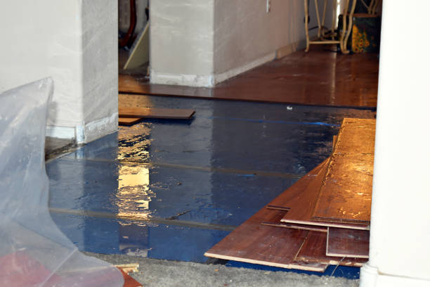 Professional Water Damage Restoration technician working in Shonto, AZ